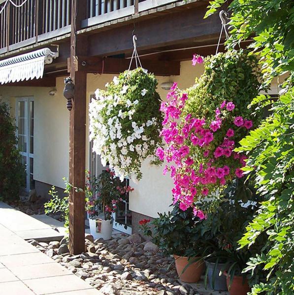 Hotel Lindengarten Kleinzerlang Exterior foto